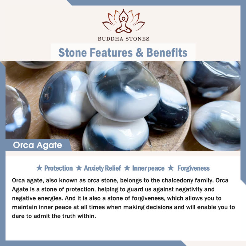 Buddha Stones May the Stars Guide Your Dreams Orca Agate Bracelet Includes Gift Message Card