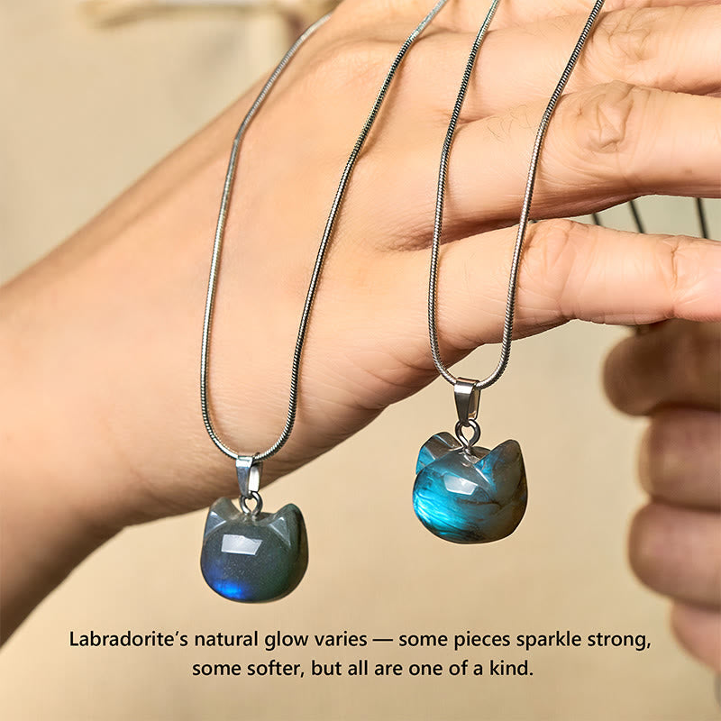 Buddha Stones Hoping for Insight and Joy Cat Labradorite Necklace Includes Gift Message Card