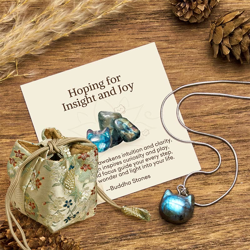 Buddha Stones Hoping for Insight and Joy Cat Labradorite Necklace Includes Gift Message Card