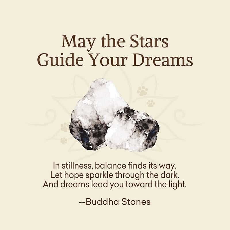 Buddha Stones May the Stars Guide Your Dreams Orca Agate Bracelet Includes Gift Message Card
