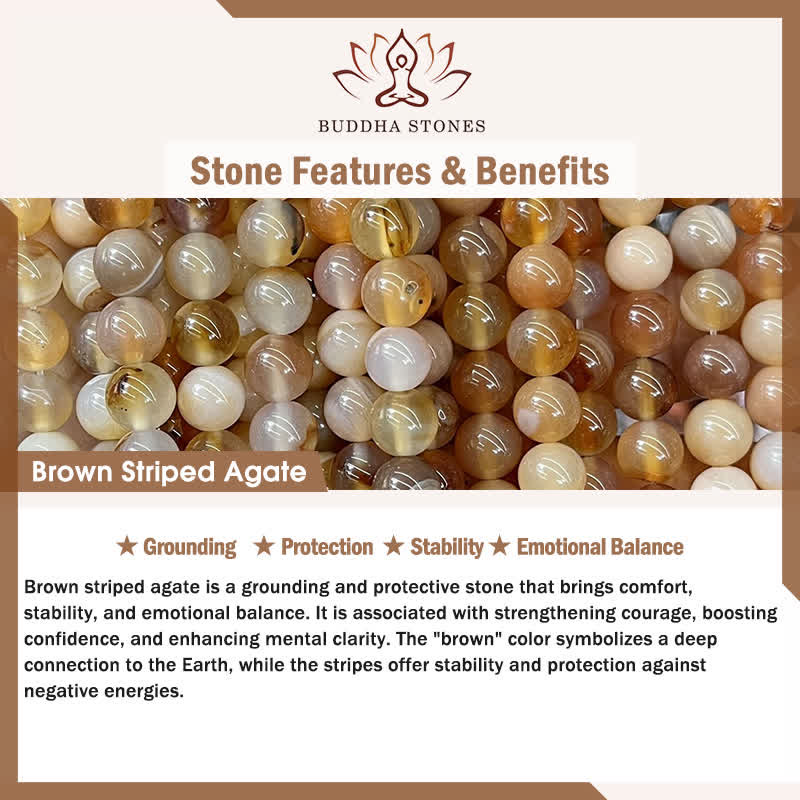 Buddha Stones 3pcs Return to Stillness White Fossil Grounding Bracelet Includes Gift Message Card