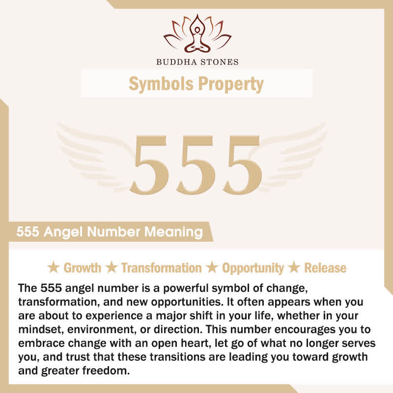 Buddha Stones Wishing Positive Change and Freedom 555 Angel Number Natural Tiger Eye Key Chain Hanging Decoration Includes Gift Message Card