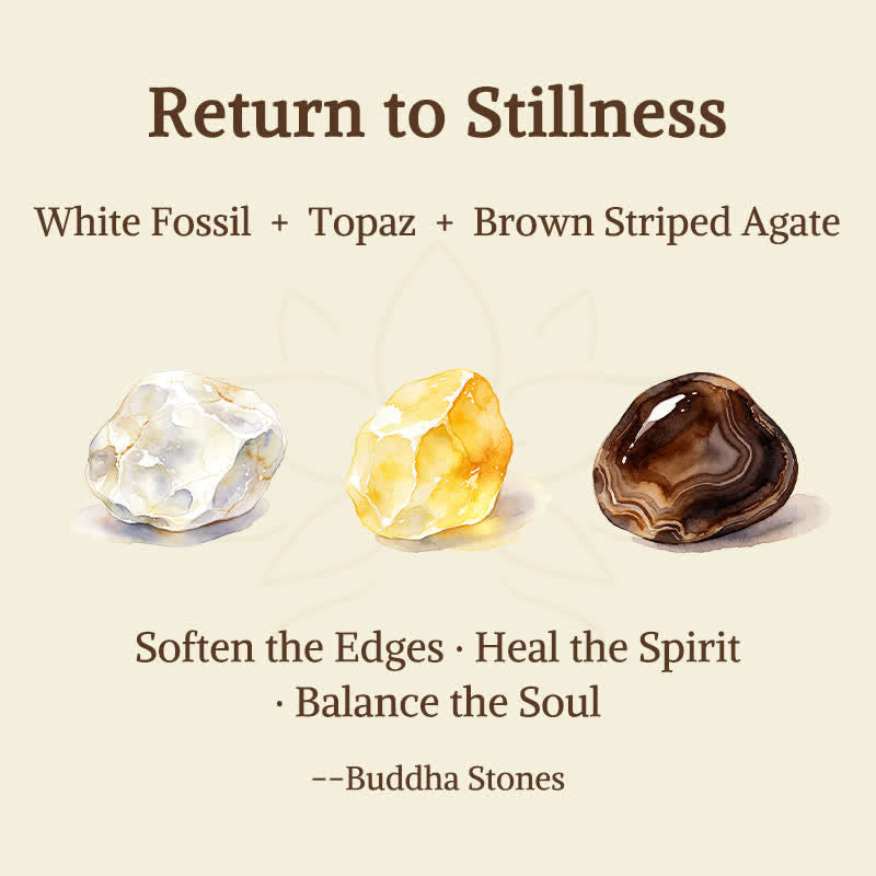 Buddha Stones 3pcs Return to Stillness White Fossil Elegant Bracelet Includes Gift Message Card